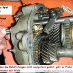 Bild-7