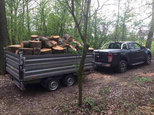 Bild #211460393