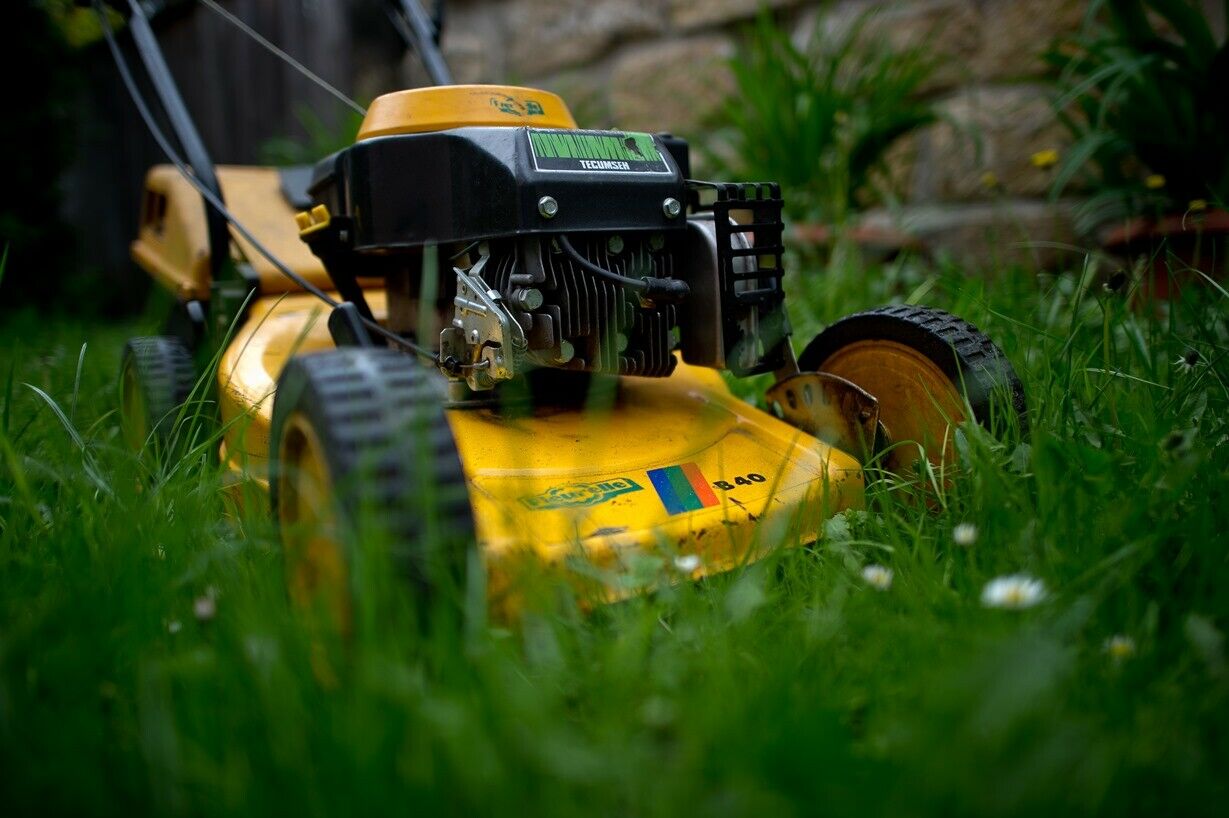Der Motor des seltsamen Gefährts ist von einem Rasenmäher, die Optik ähnelt einem Go-Kart