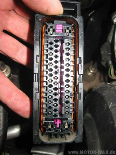 Rdk-031