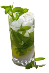Cocktail-mojito