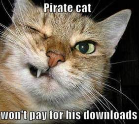 Kleinepause-4mal-de-lustige-katzen-3-05