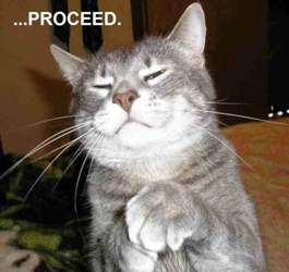 Kleinepause-4mal-de-lustige-katzen-1-07