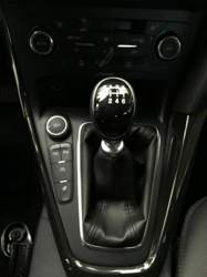 Img-3956