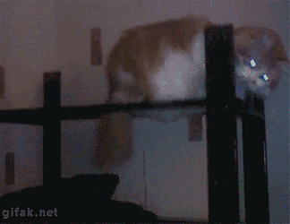 Tumblr-ne1hhpct871s2yegdo1-400