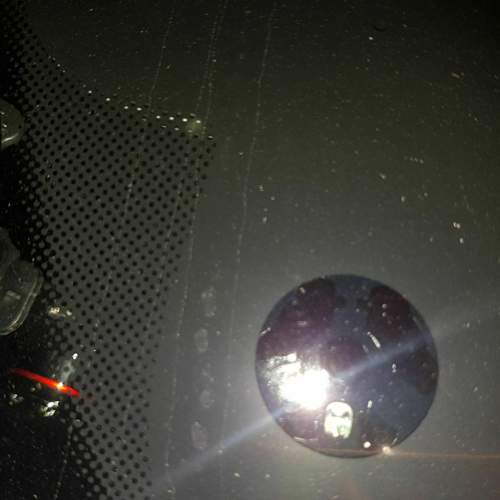 IMG_2018-11-18_07-40-55.jpeg