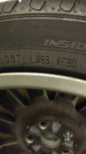 Dot-lm-1