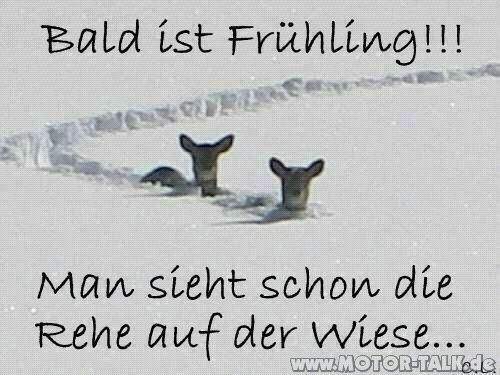 Fruehling