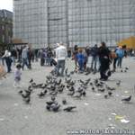 Cimg4553
