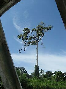 Reisebericht: Costa Rica - Teil 2