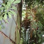 Die Oeltanks von Bois des Amourettes