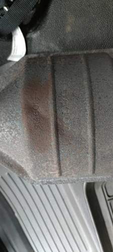 IMG_20230629_200009.jpg