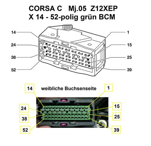 X 14 Pinnummerierung weiblich