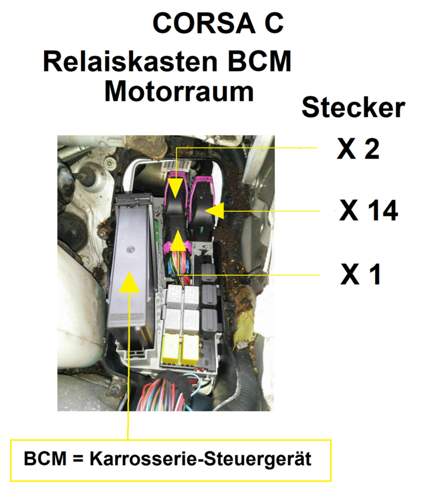 BCM-Kasten Stecker