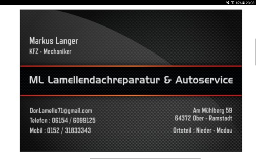 Magggus71-markus-langer-lamellendach-reparatur