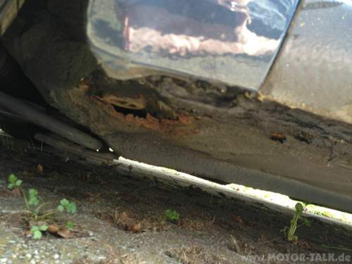 Img-1100