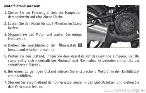 Oelstand-pruefen-rex
