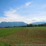 Dscn0059a1169