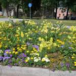 Dscn0220a1158