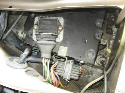 Img-1337