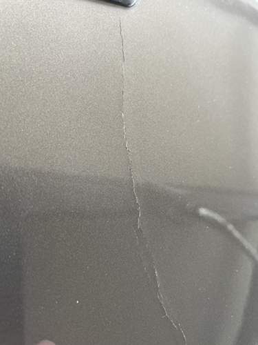 Img-3955-4
