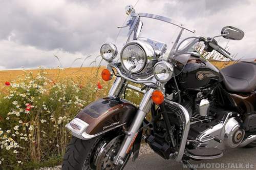 Bike-im-Kornfeld