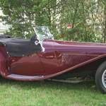 Jaguar-ss