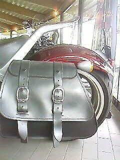 Rocker C - FXCW C - Sissy-Bar