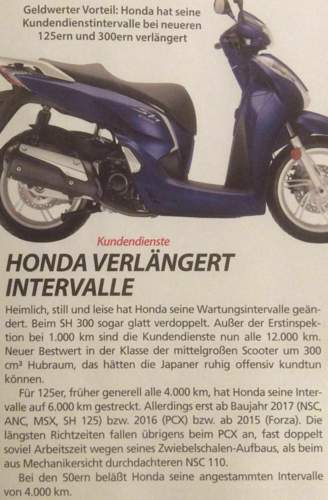 Bild 1.jpg