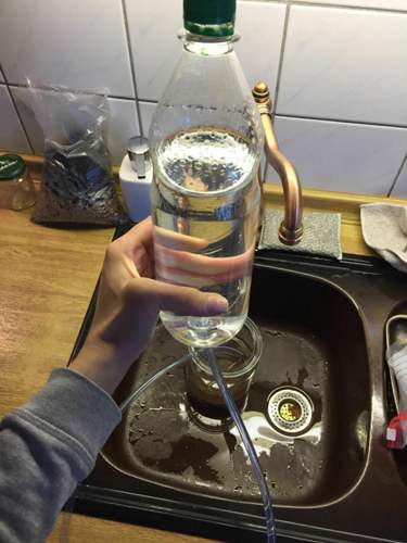 Asset.JPG