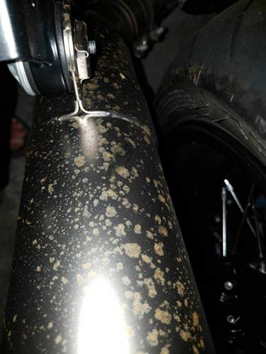 Rost