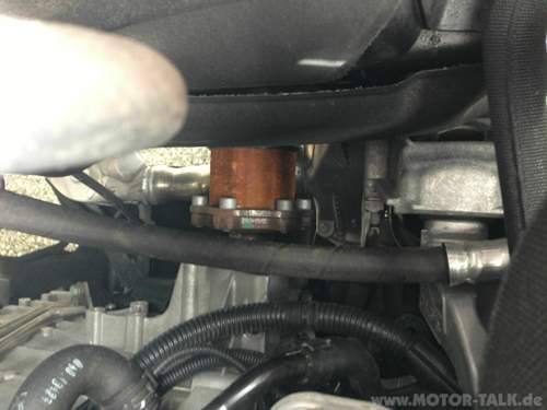 Rost-n-4-monaten