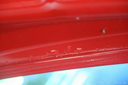 Img-8398