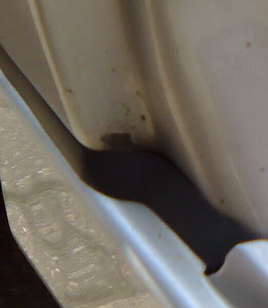 Rost