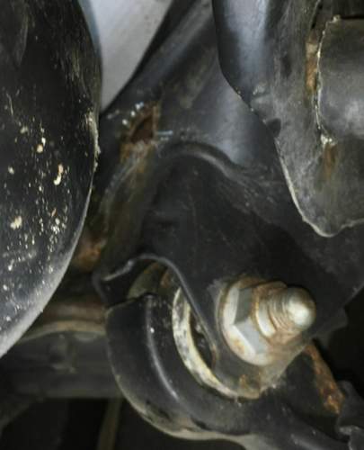 Rost