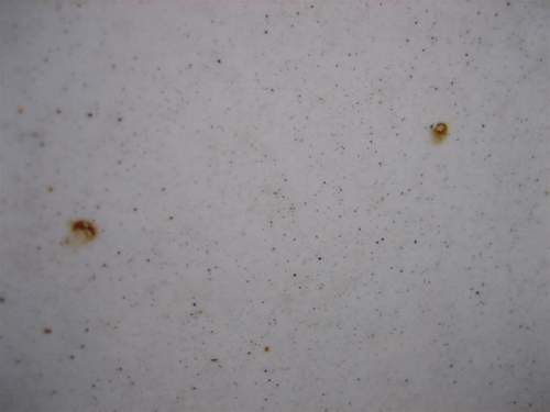 Rostpickel01