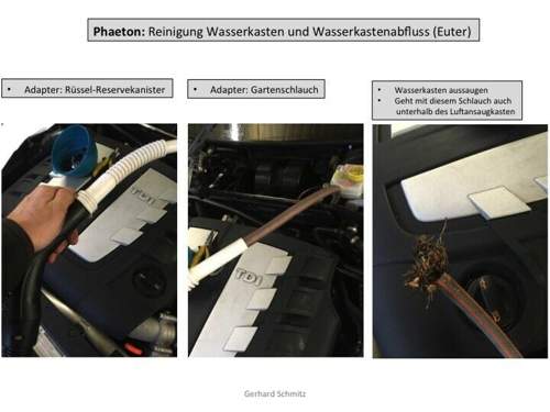 Aussaugen