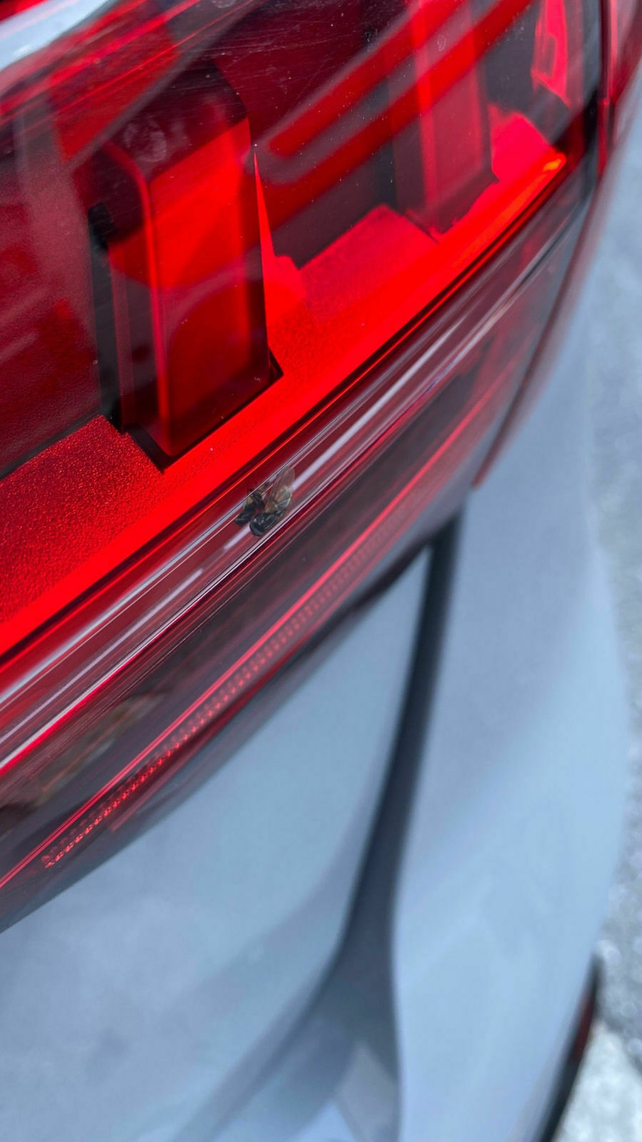 RS4