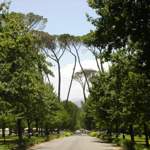 Einfahrt Boschendal