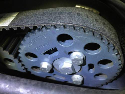 Img-1825-1