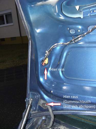 Bild-3