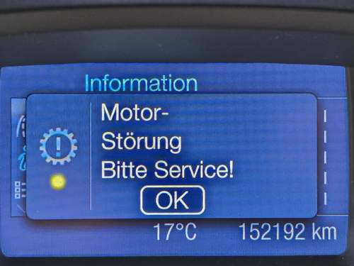 Bild-