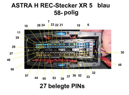 Pinnummerierung XR 5 blau