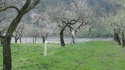 Blick auf die Donau...