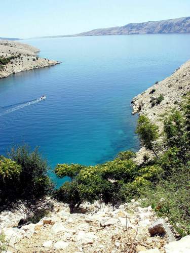 Goli-otok1