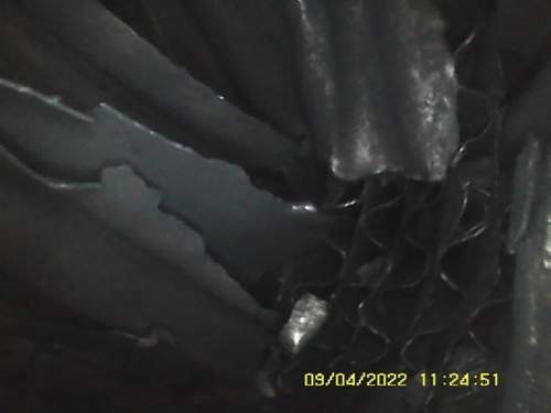 SUNP0459.jpg
