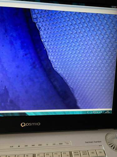 4f3d1745-f4e3-41bd-bbe0-18f630475b79