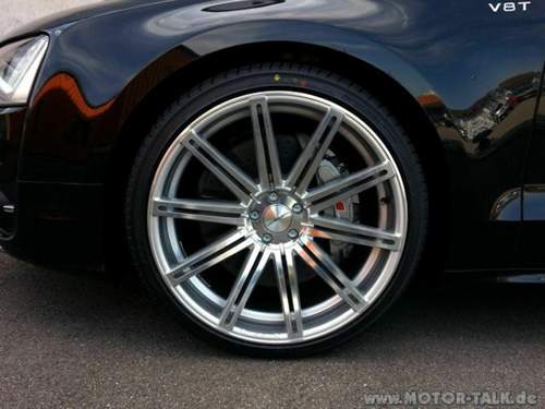 Vossen4