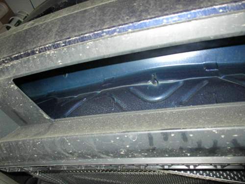 Img-0766