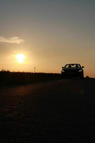 Img-0272